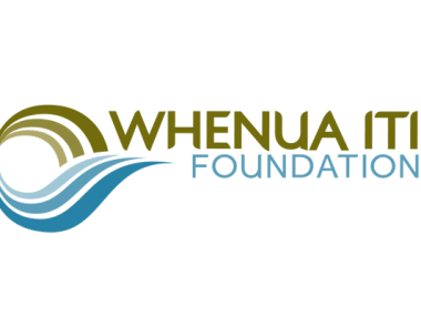 wio foundation logo