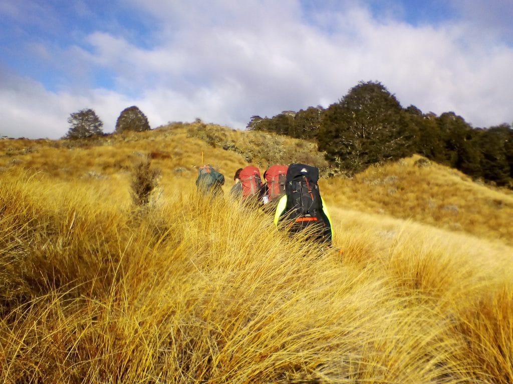 tramping through tussock